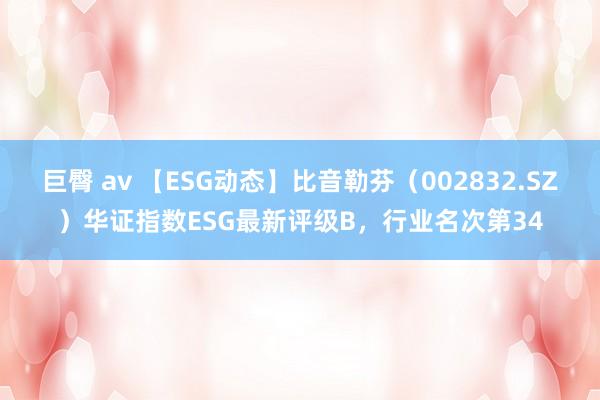 巨臀 av 【ESG动态】比音勒芬（002832.SZ）华证指数ESG最新评级B，行业名次第34