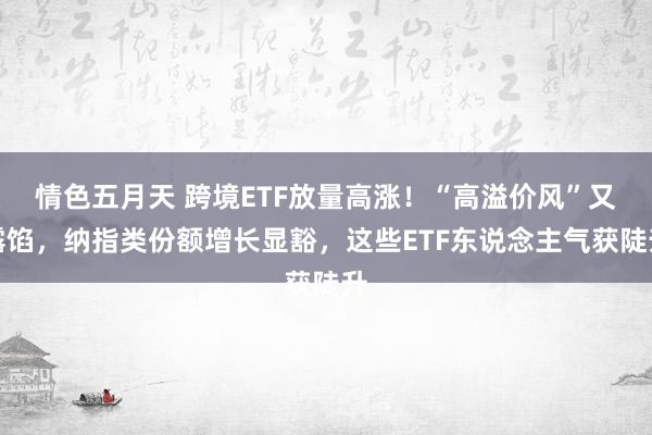 情色五月天 跨境ETF放量高涨！“高溢价风”又露馅，纳指类份额增长显豁，这些ETF东说念主气获陡升