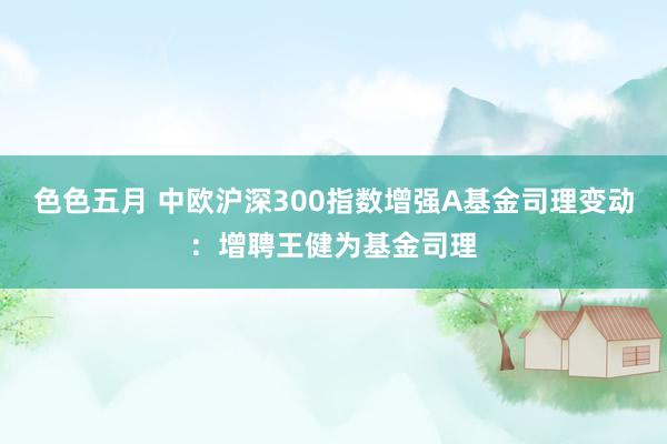 色色五月 中欧沪深300指数增强A基金司理变动：增聘王健为基金司理