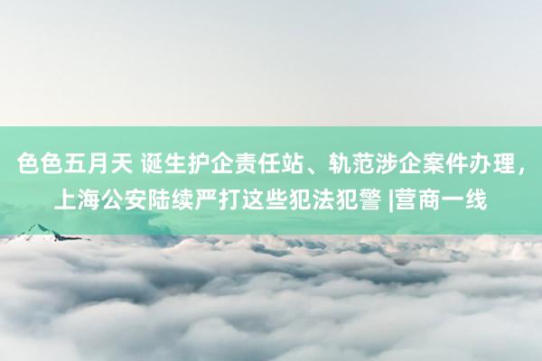 色色五月天 诞生护企责任站、轨范涉企案件办理，上海公安陆续严打这些犯法犯警 |营商一线