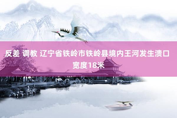 反差 调教 辽宁省铁岭市铁岭县境内王河发生溃口 宽度18米