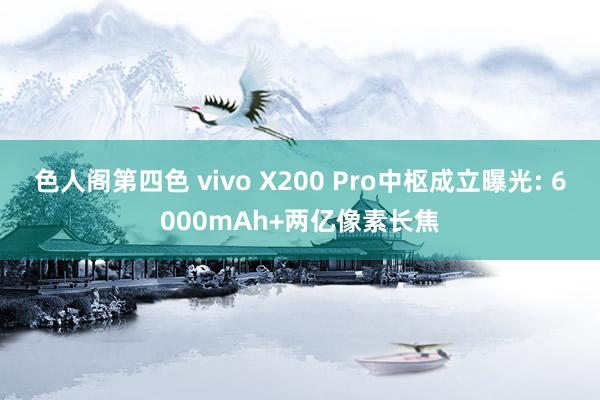 色人阁第四色 vivo X200 Pro中枢成立曝光: 6000mAh+两亿像素长焦