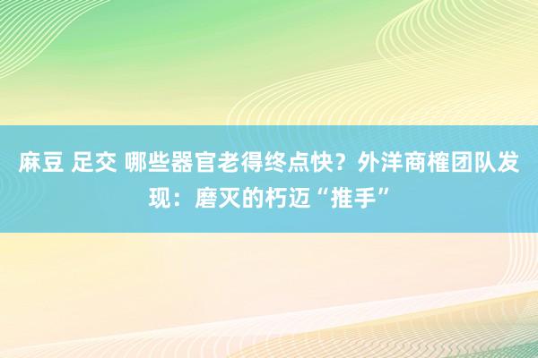 麻豆 足交 哪些器官老得终点快？外洋商榷团队发现：磨灭的朽迈“推手”