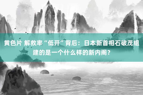 黄色片 解救率“低开”背后：日本新首相石破茂组建的是一个什么样的新内阁？