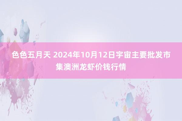 色色五月天 2024年10月12日宇宙主要批发市集澳洲龙虾价钱行情