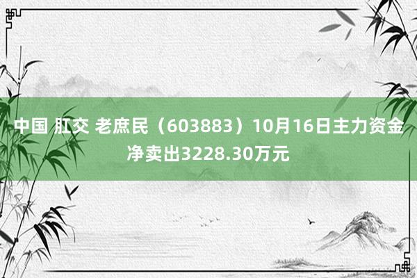 中国 肛交 老庶民（603883）10月16日主力资金净卖出3228.30万元