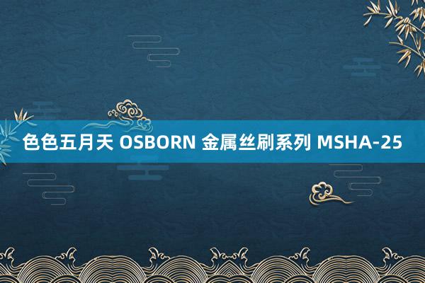 色色五月天 OSBORN 金属丝刷系列 MSHA-25