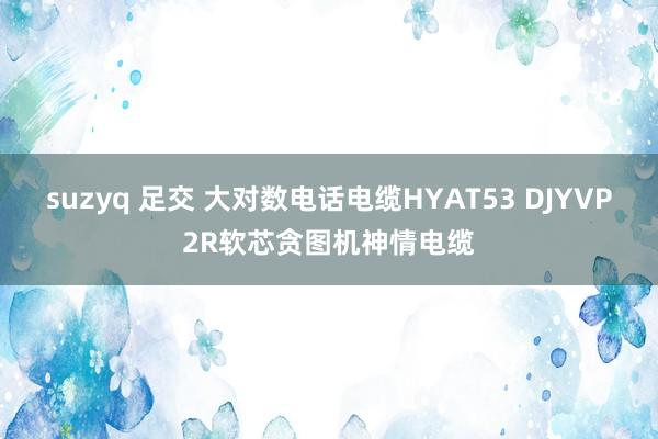 suzyq 足交 大对数电话电缆HYAT53 DJYVP2R软芯贪图机神情电缆