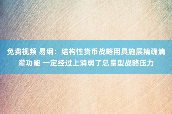 免费视频 易纲：结构性货币战略用具施展精确滴灌功能 一定经过上消弱了总量型战略压力