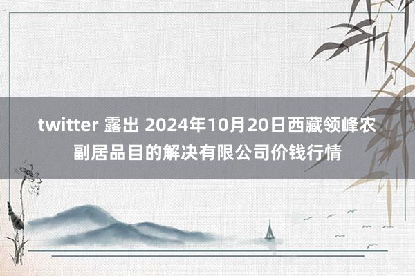 twitter 露出 2024年10月20日西藏领峰农副居品目的解决有限公司价钱行情