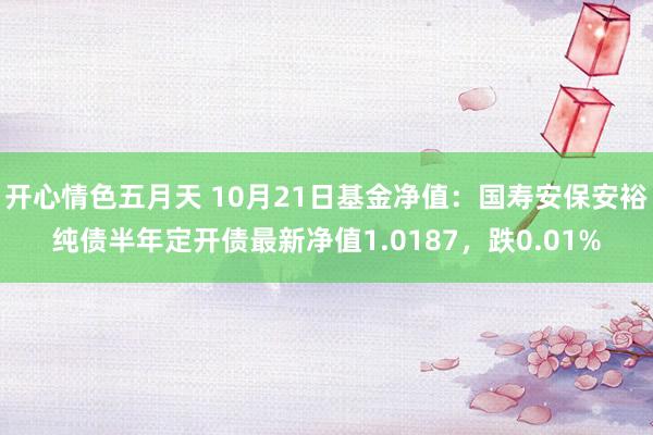 开心情色五月天 10月21日基金净值：国寿安保安裕纯债半年定开债最新净值1.0187，跌0.01%