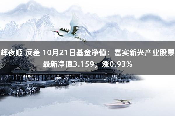 辉夜姬 反差 10月21日基金净值：嘉实新兴产业股票最新净值3.159，涨0.93%