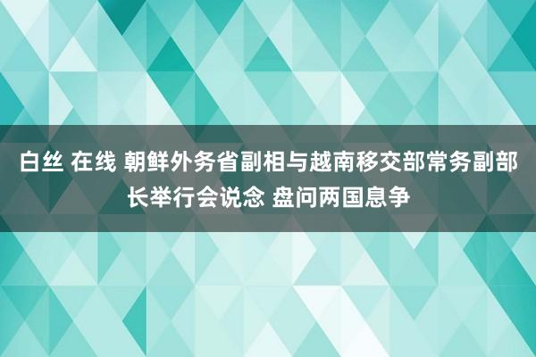 白丝 在线 朝鲜外务省副相与越南移交部常务副部长举行会说念 盘问两国息争