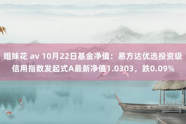 姐妹花 av 10月22日基金净值：易方达优选投资级信用指数发起式A最新净值1.0303，跌0.09%