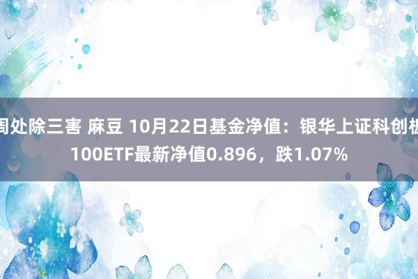 周处除三害 麻豆 10月22日基金净值：银华上证科创板100ETF最新净值0.896，跌1.07%