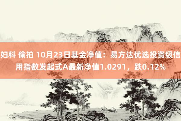 妇科 偷拍 10月23日基金净值：易方达优选投资级信用指数发起式A最新净值1.0291，跌0.12%