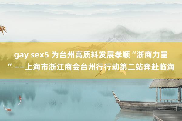 gay sex5 为台州高质料发展孝顺“浙商力量”——上海市浙江商会台州行行动第二站奔赴临海