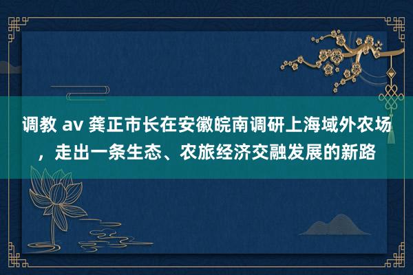 调教 av 龚正市长在安徽皖南调研上海域外农场，走出一条生态、农旅经济交融发展的新路