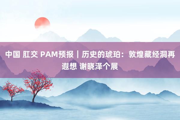 中国 肛交 PAM预报｜历史的琥珀：敦煌藏经洞再遐想 谢晓泽个展