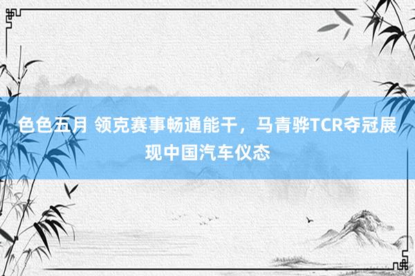 色色五月 领克赛事畅通能干，马青骅TCR夺冠展现中国汽车仪态