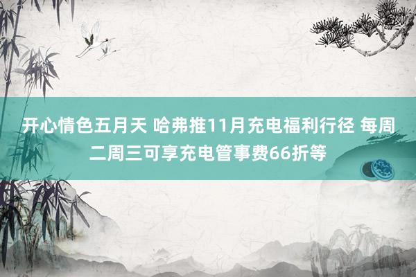 开心情色五月天 哈弗推11月充电福利行径 每周二周三可享充电管事费66折等