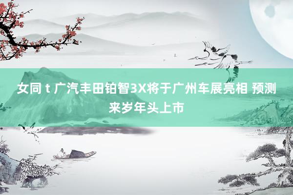 女同 t 广汽丰田铂智3X将于广州车展亮相 预测来岁年头上市