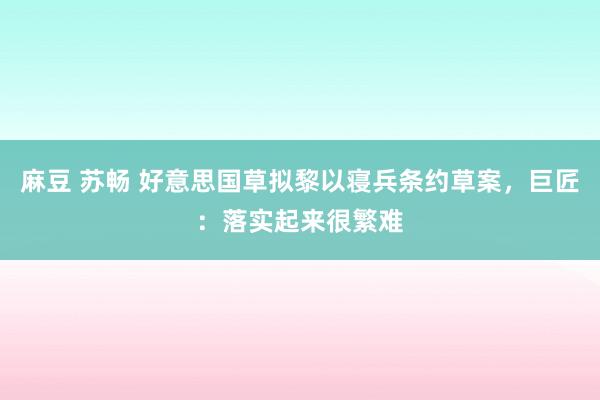 麻豆 苏畅 好意思国草拟黎以寝兵条约草案，巨匠：落实起来很繁难