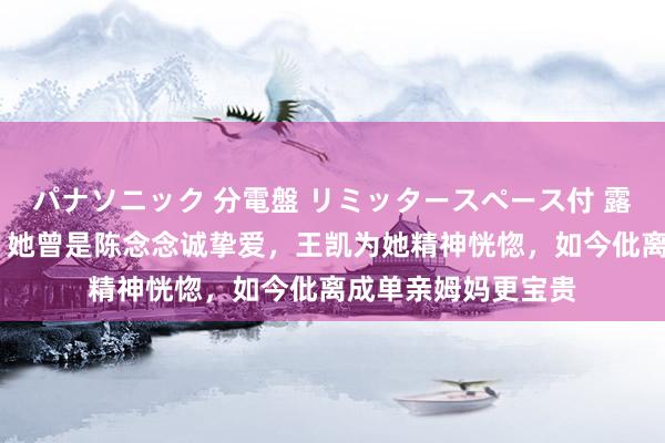 パナソニック 分電盤 リミッタースペース付 露出・半埋込両用形 她曾是陈念念诚挚爱，王凯为她精神恍惚，如今仳离成单亲姆妈更宝贵