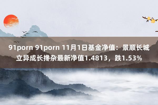 91porn 91porn 11月1日基金净值：景顺长城立异成长搀杂最新净值1.4813，跌1.53%