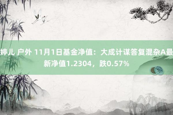 婷儿 户外 11月1日基金净值：大成计谋答复混杂A最新净值1.2304，跌0.57%