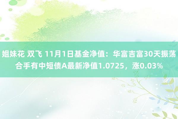 姐妹花 双飞 11月1日基金净值：华富吉富30天振荡合手有中短债A最新净值1.0725，涨0.03%