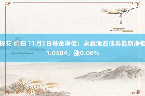 探花 偷拍 11月1日基金净值：永赢添益债券最新净值1.0504，涨0.06%