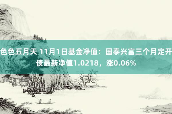 色色五月天 11月1日基金净值：国泰兴富三个月定开债最新净值1.0218，涨0.06%