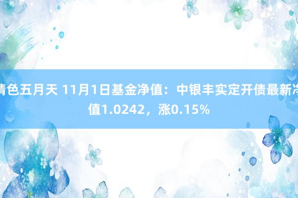 情色五月天 11月1日基金净值：中银丰实定开债最新净值1.0242，涨0.15%