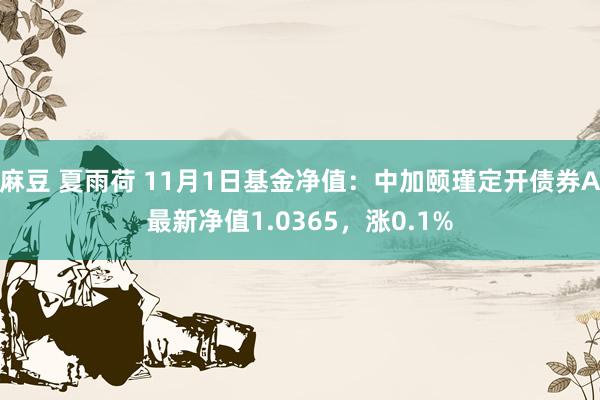 麻豆 夏雨荷 11月1日基金净值：中加颐瑾定开债券A最新净值1.0365，涨0.1%