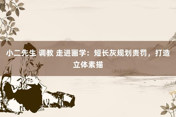 小二先生 调教 走进画学：短长灰规划责罚，打造立体素描