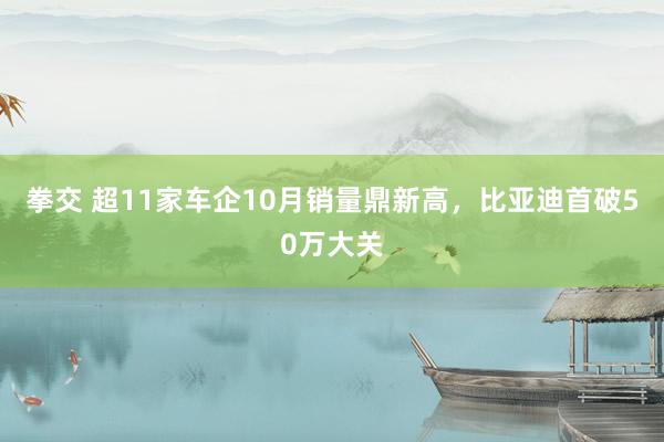 拳交 超11家车企10月销量鼎新高，比亚迪首破50万大关