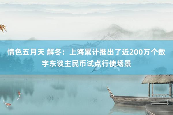 情色五月天 解冬：上海累计推出了近200万个数字东谈主民币试点行使场景