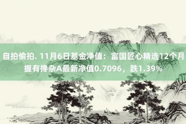 自拍偷拍. 11月6日基金净值：富国匠心精选12个月握有搀杂A最新净值0.7096，跌1.39%