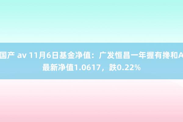 国产 av 11月6日基金净值：广发恒昌一年握有搀和A最新净值1.0617，跌0.22%