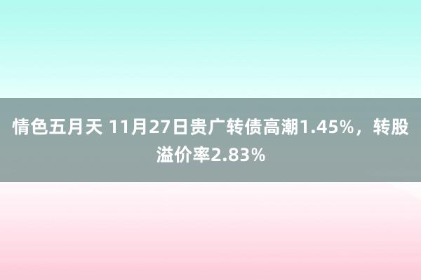 情色五月天 11月27日贵广转债高潮1.45%，转股溢价率2.83%