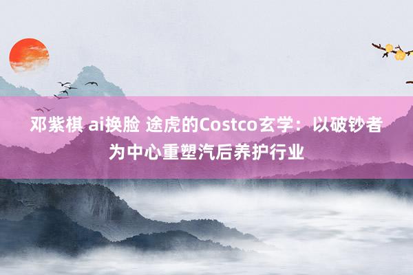 邓紫棋 ai换脸 途虎的Costco玄学：以破钞者为中心重塑汽后养护行业