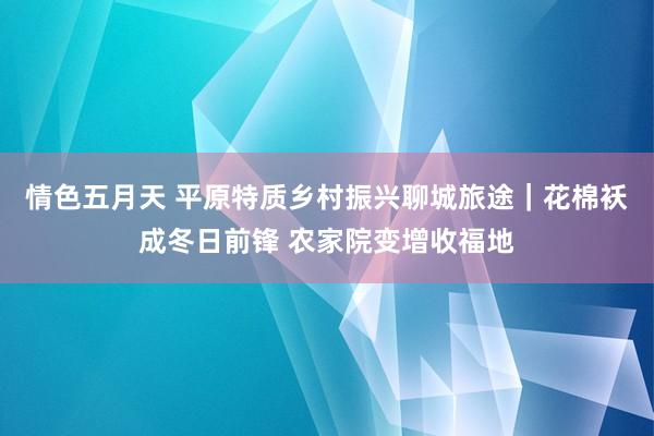 情色五月天 平原特质乡村振兴聊城旅途｜花棉袄成冬日前锋 农家院变增收福地