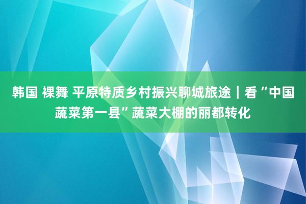 韩国 裸舞 平原特质乡村振兴聊城旅途｜看“中国蔬菜第一县”蔬菜大棚的丽都转化