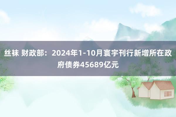 丝袜 财政部：2024年1-10月寰宇刊行新增所在政府债券45689亿元