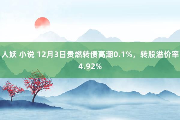 人妖 小说 12月3日贵燃转债高潮0.1%，转股溢价率4.92%