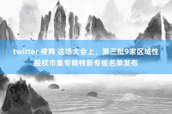 twitter 裸舞 这场大会上，第三批9家区域性股权市集专精特新专板名单发布