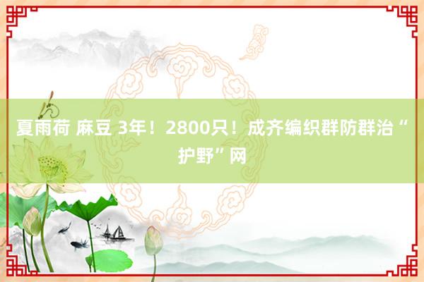 夏雨荷 麻豆 3年！2800只！成齐编织群防群治“护野”网