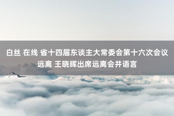 白丝 在线 省十四届东谈主大常委会第十六次会议远离 王晓晖出席远离会并语言