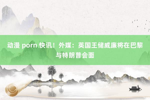 动漫 porn 快讯！外媒：英国王储威廉将在巴黎与特朗普会面